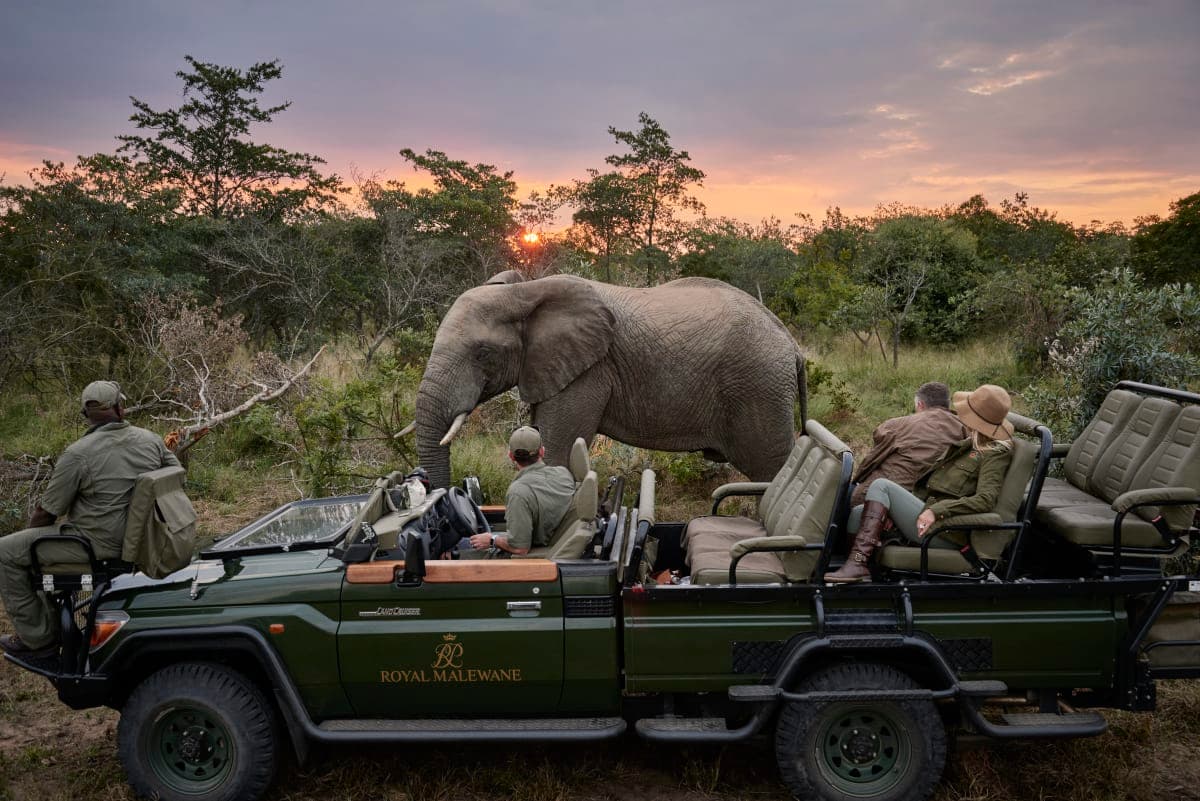 The First-Timer's Guide to Africa