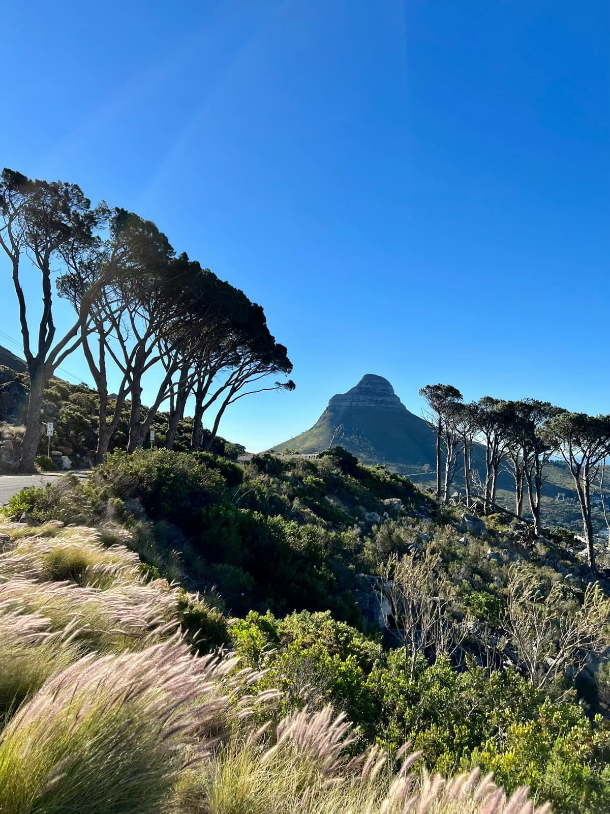 Hotels Worth the Splurge in Africa