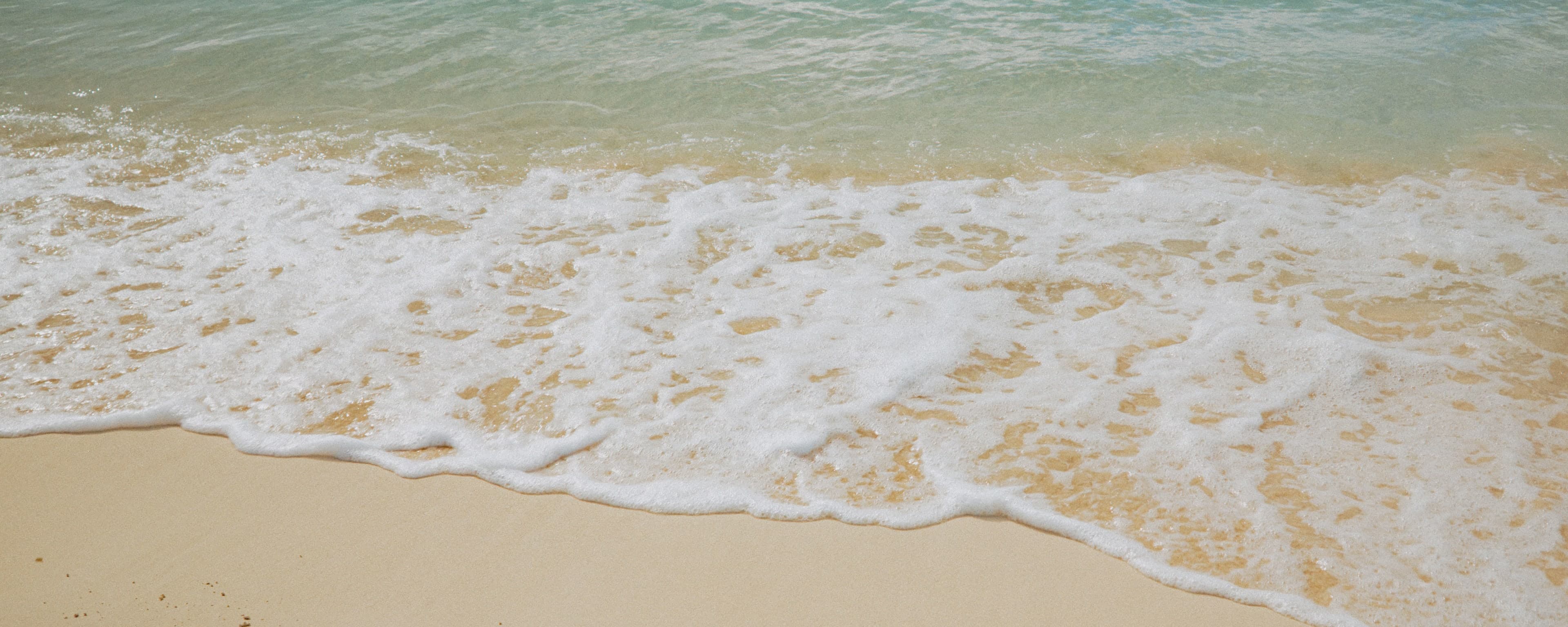The Caribbean