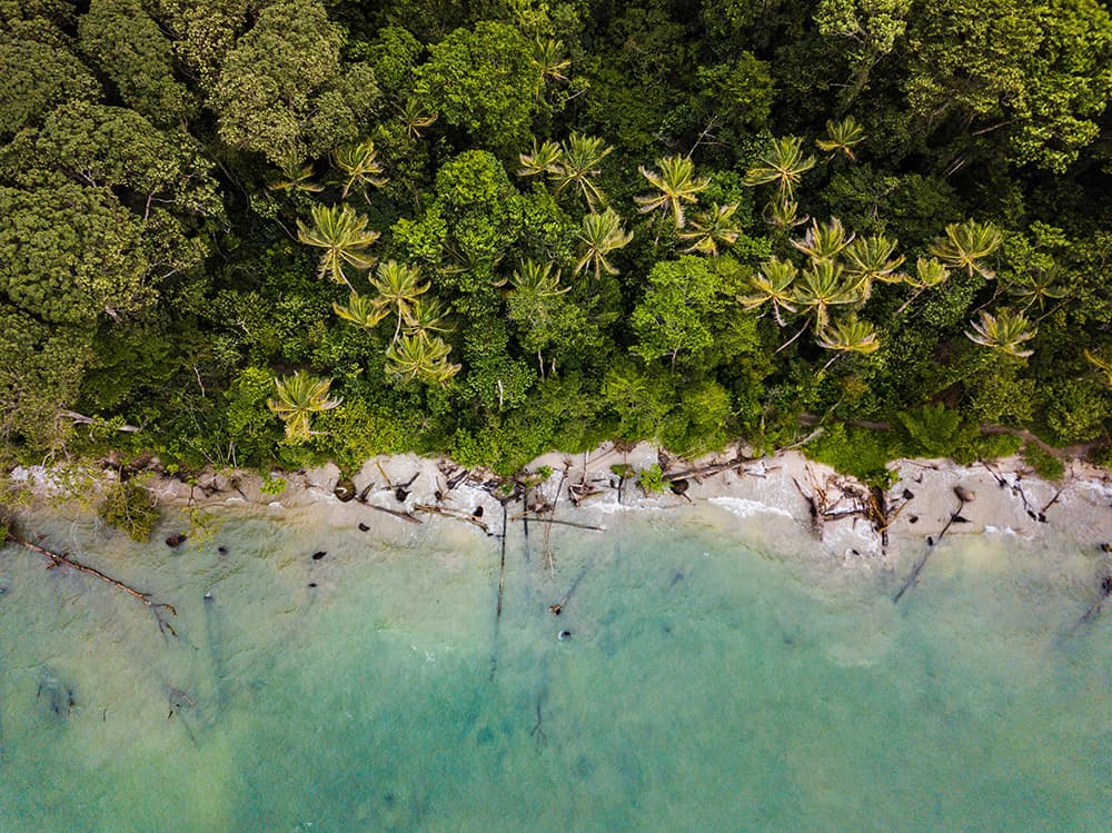 A Weekend in Manuel Antonio, Planned from Start to Finish