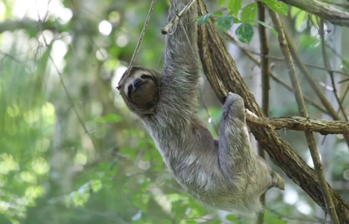 Hotels Worth the Splurge in Costa Rica