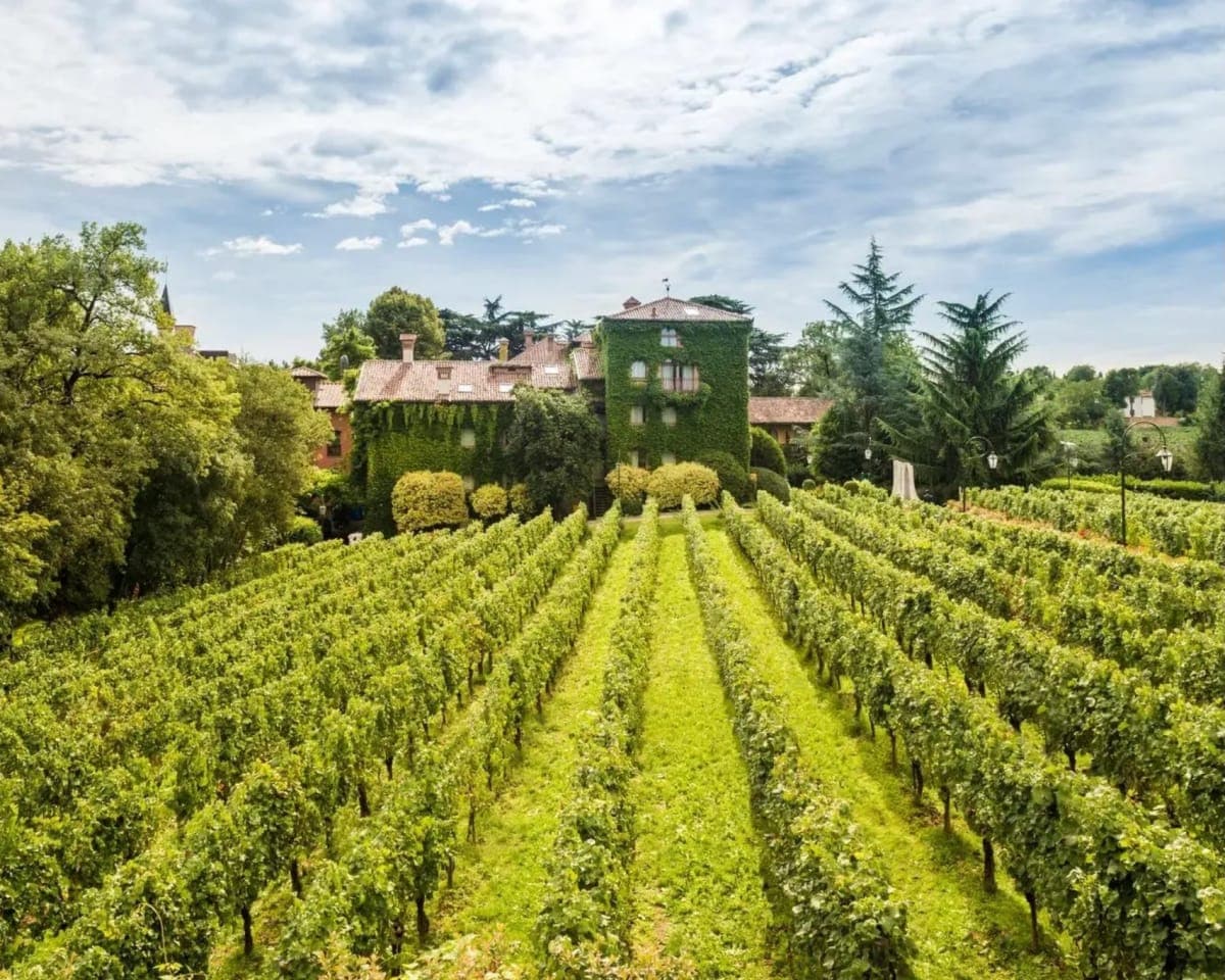 Where to Eat, Sleep and Wander in Florence