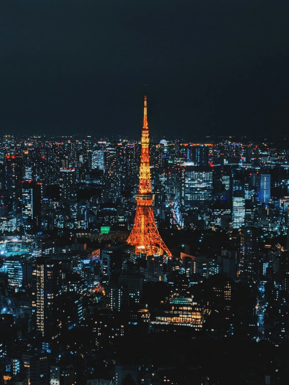 Traveling to Japan with Kids: What We'd Do Again