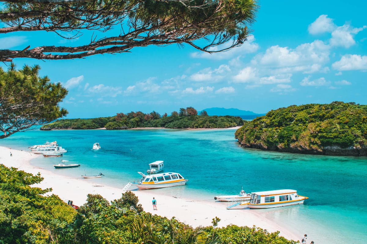 Honeymoons