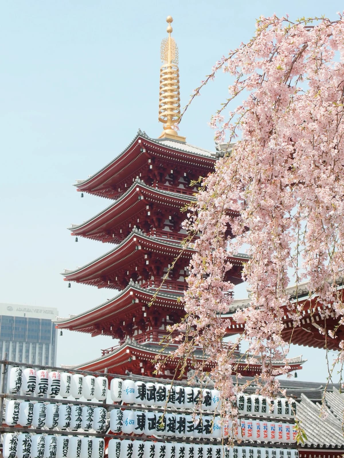 Japan on a Budget, Without the Compromises