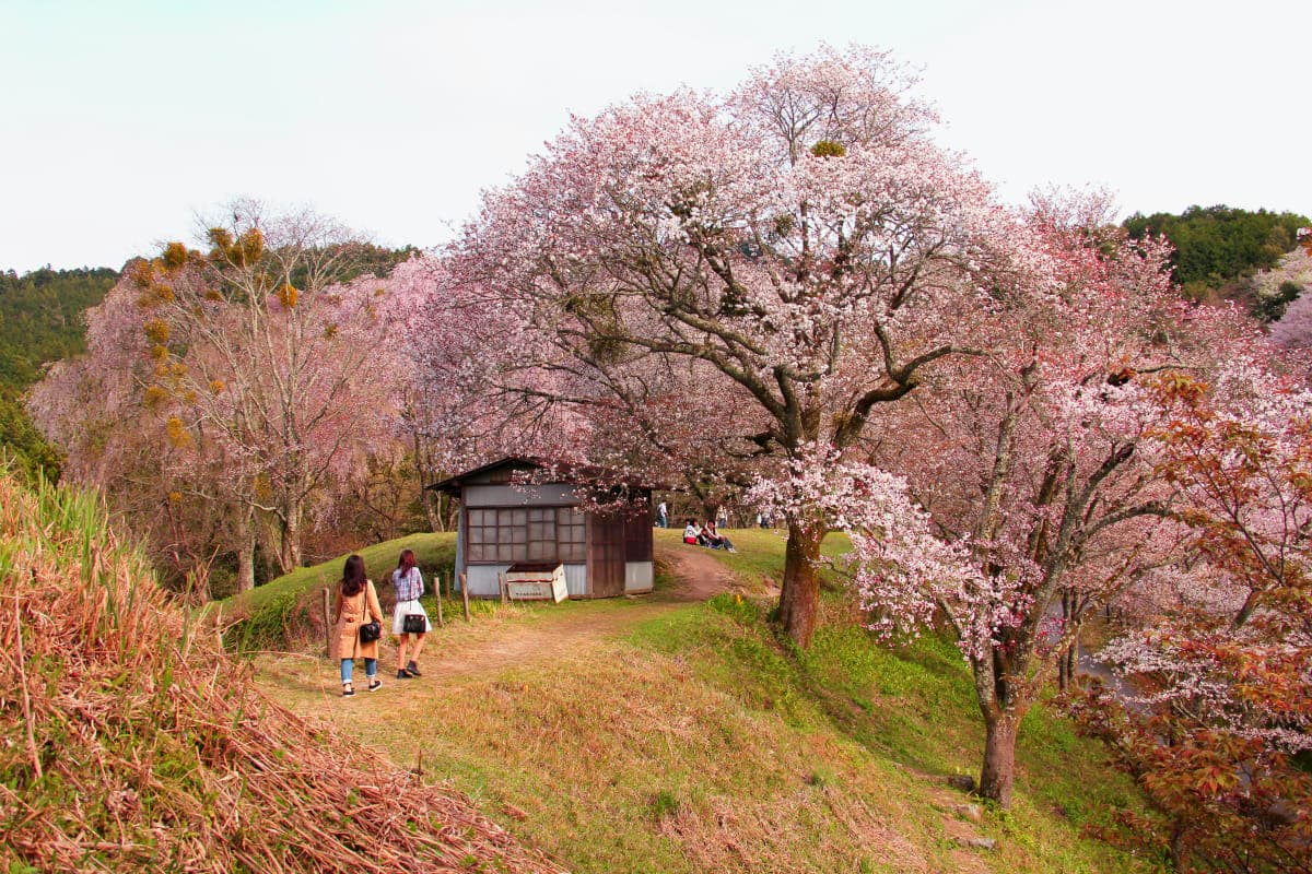 A Weekend in Osaka, Planned from Start to Finish