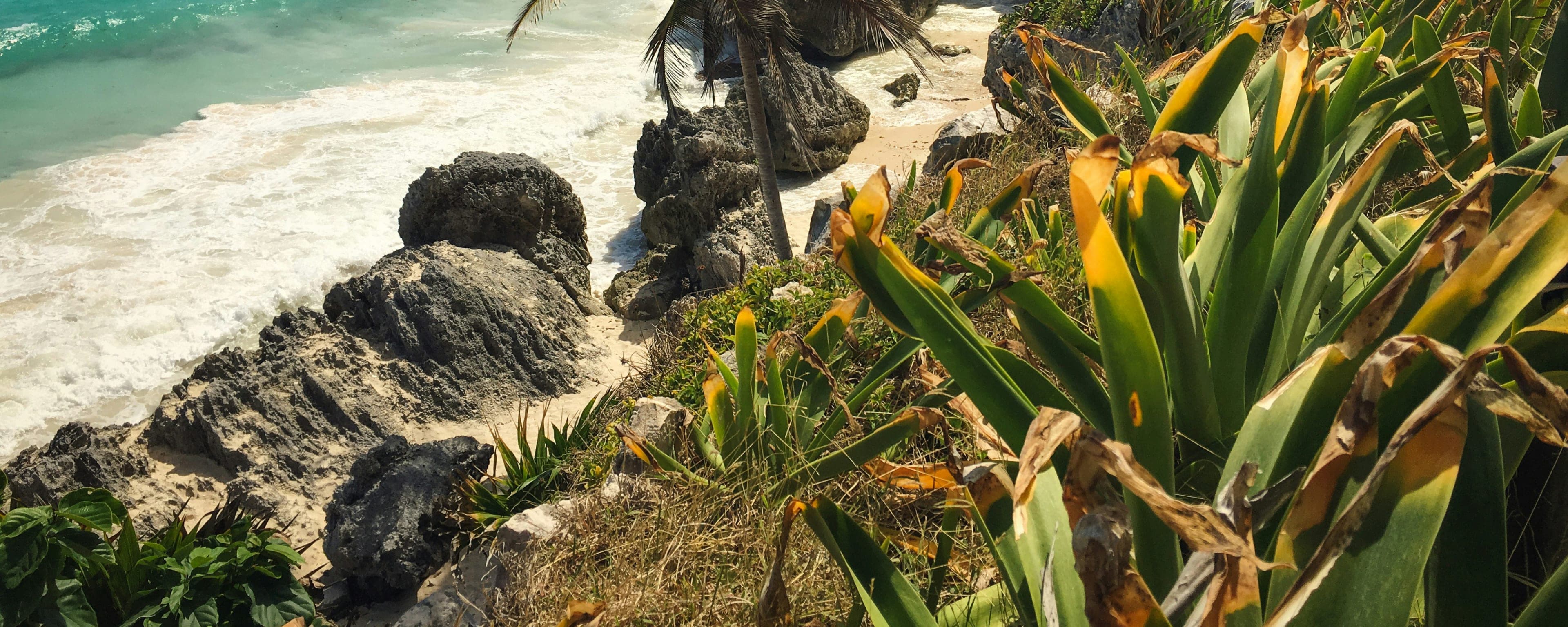 Mexico