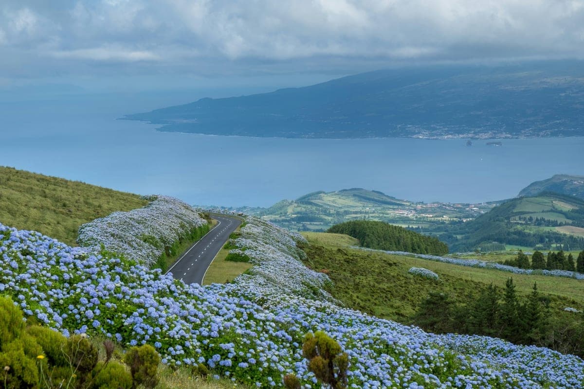 Where to Eat, Sleep and Wander in Safari