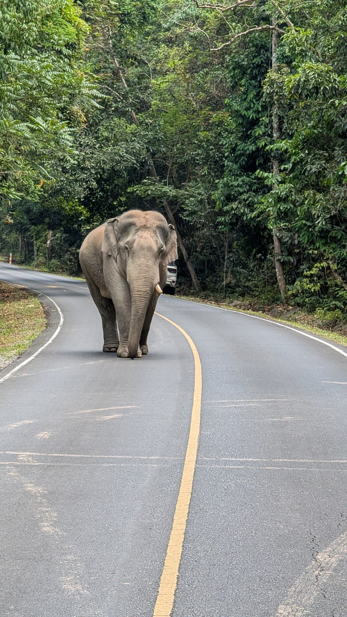 A Slow Week in Thailand